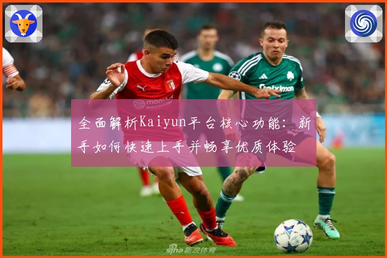 全面解析Kaiyun平台核心功能：新手如何快速上手并畅享优质体验